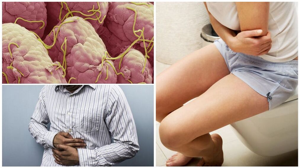 Worms in the human body