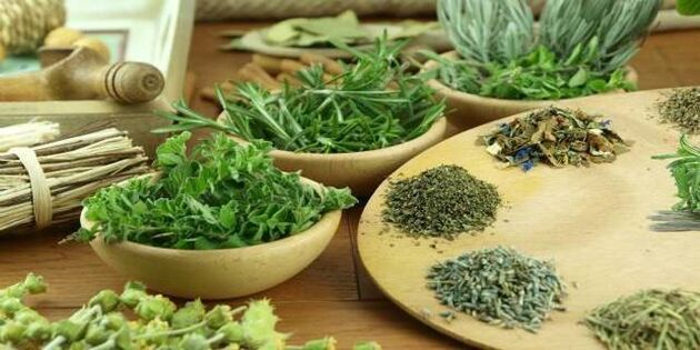 Clove against parasites in the body