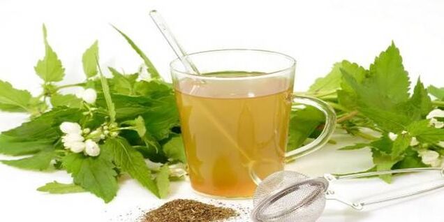 Herbal tincture against parasites