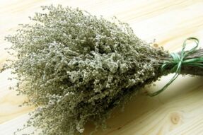 Wormwood to remove parasites